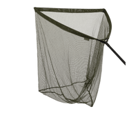 Specimen - Podbierak - 36"