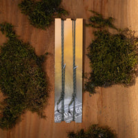 Komplett - R2G Clip SR - Leader 90cm - Ronnie Rig Soft