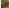 Avid Carp REACT - 10FT - 3.50LB - KarperCentrale