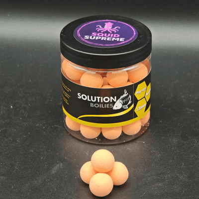 CC Solution Boilies Premium Range – Squid Supreme – W/O Pop - ups – 15mm - KarperCentrale