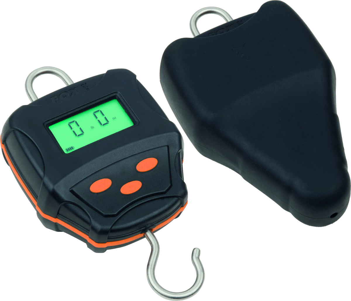 Pèse-personnes numériques