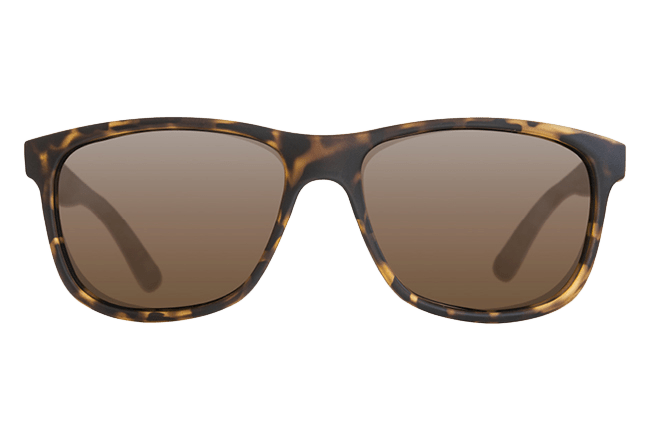 Korda Sunglasses Classics Matt Tortoise - KarperCentrale