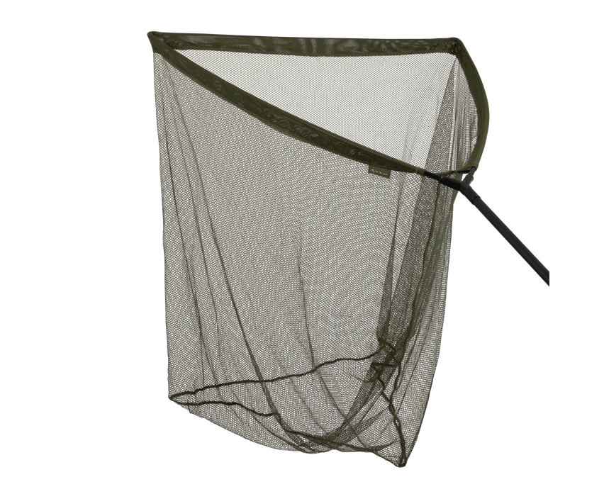 Specimen - Podbierak - 36"