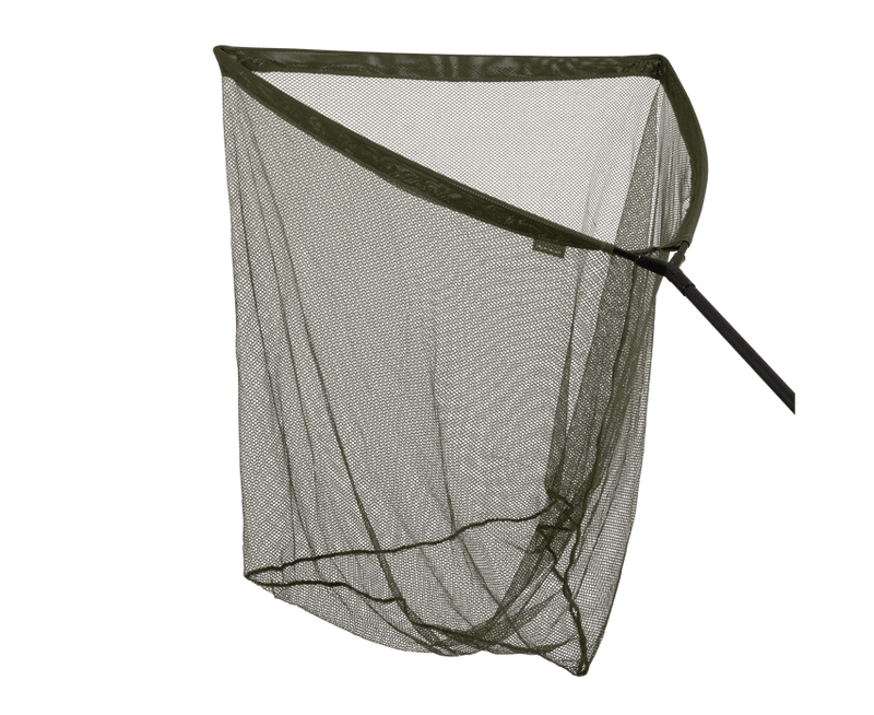 Specimen - Podbierak - 36"