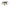 Nash Tackle Bank Life - Gazebo PLUS - KarperCentrale