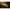 Pole Position Kickdown - Stiff coated - 20LB - KarperCentrale