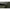 Prologic Inspire Bivvy & Wrap - 1 Man - Bivvy - Full Kit - KarperCentrale
