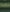 Trakker DropCore - Braid - Groen - 1200m - KarperCentrale